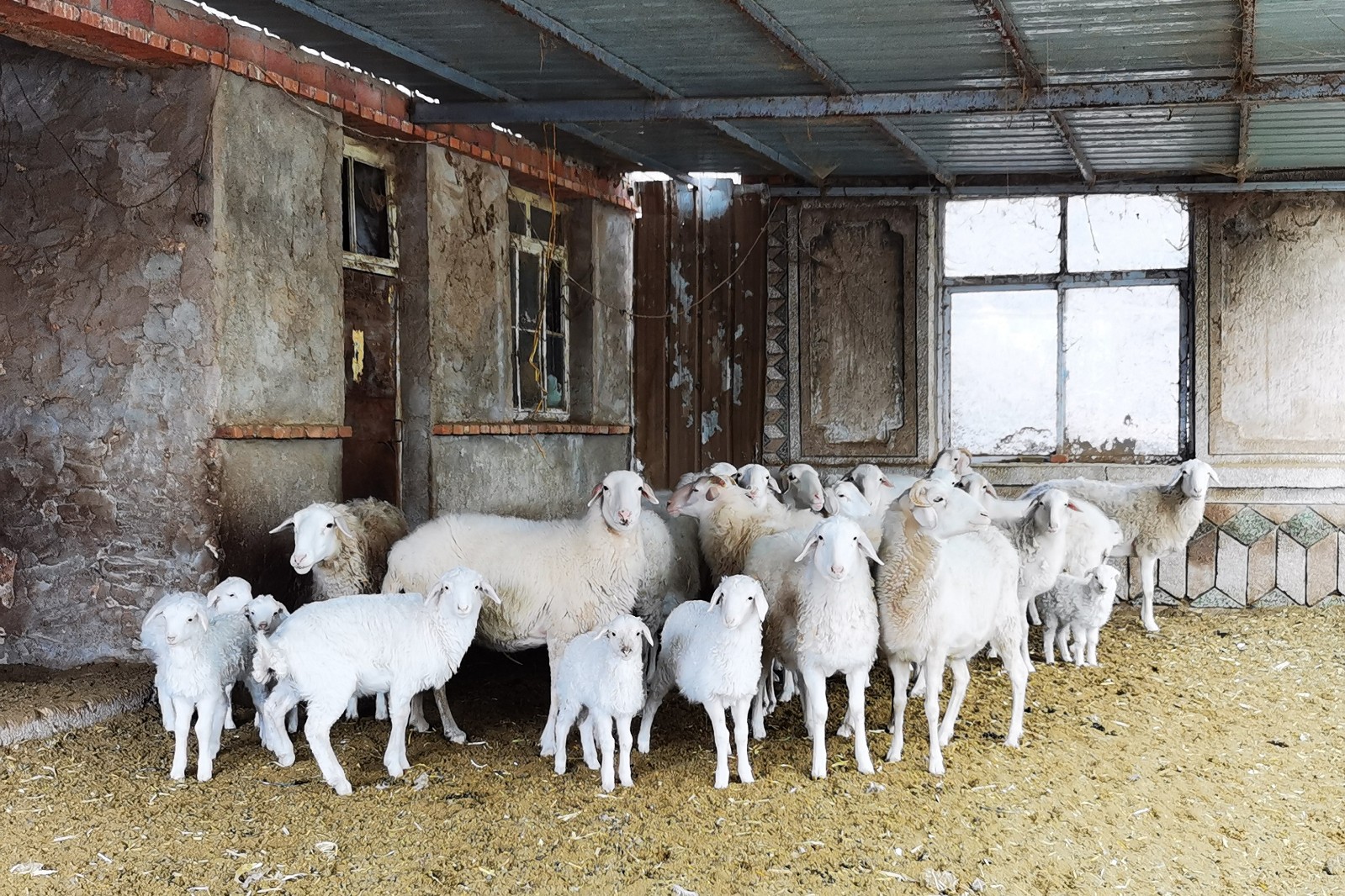 f755a1575dbbf361a830203f85301420